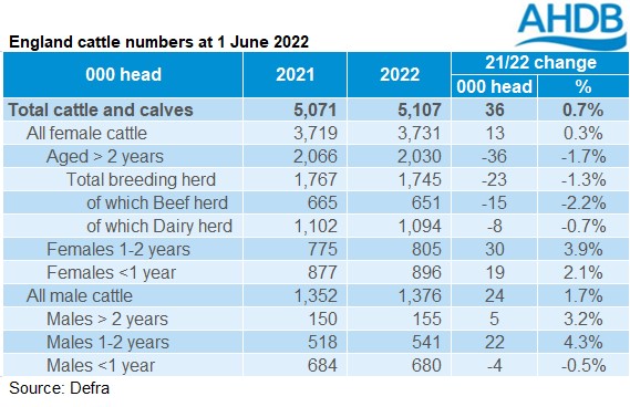 Table of cattle numbers in England (Defra)